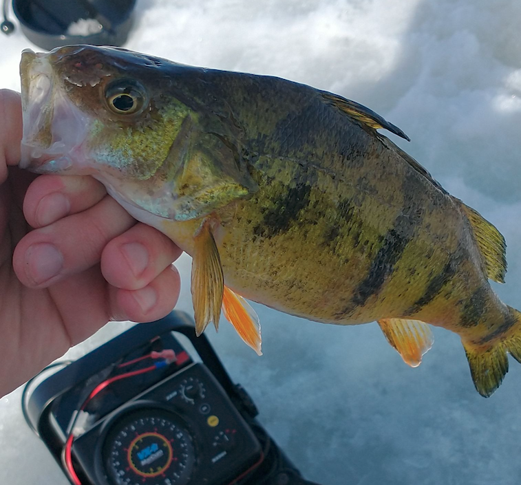 March 23rd Fishing Report
